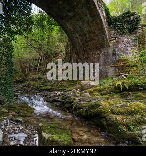 Alte römische Brücke versteckt im Wald in der Nähe von Castiglion Fiorentino, Arezzo, Toskana, Italien. Ein schöner Bach fließt darunter Stockfoto