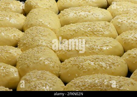 Omas Apfelkuchen auf einem Backblech, vor dem Backen süße Brötchen mit Sesam. Hochauflösendes Foto. Volle Schärfentiefe. Stockfoto