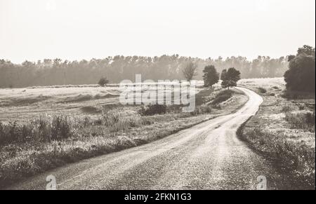 Sommer sonnige Landschaft mit leerem Land Asphaltstraße durch die Felder und Wald.Fotografie mit Sepia-Filter im Retro-Stil gemacht. Stockfoto