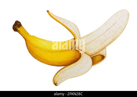 Geschälte Banane, mit Buntstiften bemalt, isoliert auf Weiß mit Schneidepfad für einfache Verwendung. Stockfoto