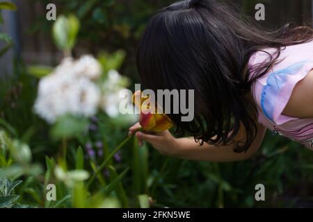 Alltagsleben / Discover Nature Concept - Blick auf ein junges weibliches Kind in einem Garten, der sich zum Duft einer Blume hinbeugt, Essex, Großbritannien, April 2021 Stockfoto