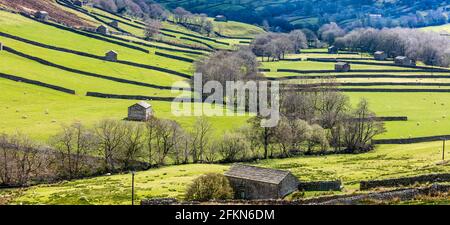 Swaledale in North Yorkshire. Ein Panorama der Yorkshire Dales Dörfer um West Stonesdale und Keld im Frühling in mit Steinkuhhäusern und d Stockfoto