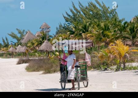 Ein Mann mit einem Dreirad verkauft Kokosnüsse am Strand Auf Holbox Island in Mexiko Stockfoto
