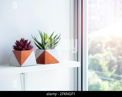 DIY Betontöpfe, Pyramidenform mit grünen und roten saftigen Pflanzen auf weißem Holzregal auf weißem Wandhintergrund in der Nähe von Glasfenster mit Kopierraum. Stockfoto