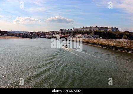 Fossilienjagd am Whitby Beach Stockfoto