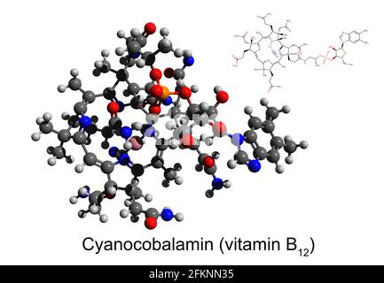 Skelettformel und 3D-Ball-and-Stick-Modell von Vitamin B12 (Cyanocobalamin), weißer Hintergrund Stockfoto