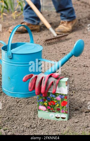 Aussaat von Wildblumen. Vorbereitung eines Saatbeet vor der Aussaat von Wildblumenkamen in einem Garten. VEREINIGTES KÖNIGREICH Stockfoto