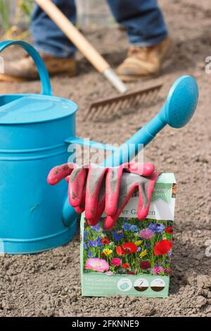 Aussaat von Wildblumen. Vorbereitung eines Saatbeet vor der Aussaat von Wildblumenkamen in einem Garten. VEREINIGTES KÖNIGREICH Stockfoto