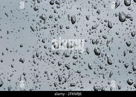 Große Regentropfen auf dem Autoglas. Spiegelung von Bäumen entlang der Straße. Abstrakter Hintergrund. Stockfoto