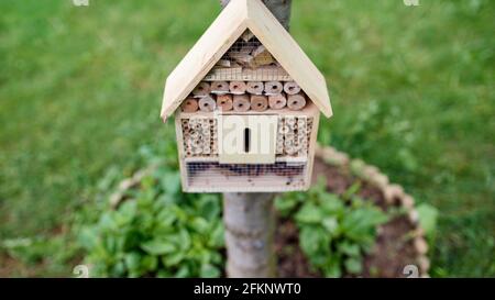 Insektenhotel am Baum im Garten, nachhaltiger Lebensstil. Stockfoto