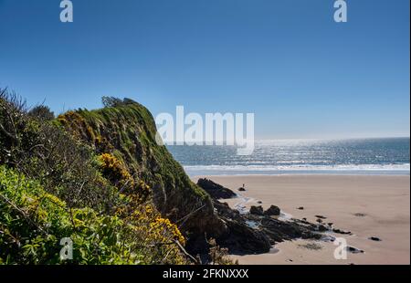 Monkstone Point, zwischen Saundersfoot und Tenby vom Pembrokeshire Coast Path, Pembrokeshire, Wales Stockfoto