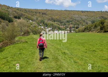 Wandern entlang des Wye Valley Spaziergang zwischen Brockweir und Bigsweir Bridge - Llandogo Village liegt in Wales vor Ihnen Stockfoto