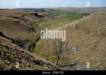 Conistone Dib Gorge zwischen Kettlewell & Grassington auf dem Dales Way Long Distance Fußweg im Yorkshire Dales National Park, England, Großbritannien, Stockfoto