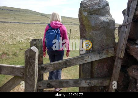 Woman Walking by Gate zwischen Grassington & Kettlewell auf dem Dales Way Long Distance Fußweg im Yorkshire Dales National Park, England, Großbritannien. Stockfoto