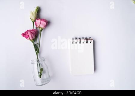 Blumen rosa eustoma auf einfache Vase auf weiß und Notizbuch Stockfoto