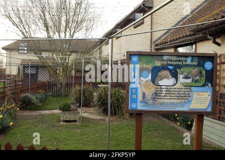 Tigiwinkles Wildlife Hospital in Buckinghamshire Bild David Sandison Stockfoto