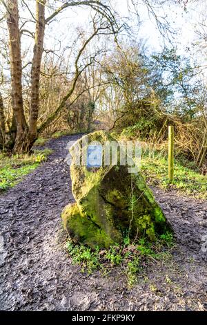 Gedenktafel auf einer Steinmarkierung entlang des Greensand Ridge Walk zum Gedenken an das Goldene Jubiläum von Königin Elizabeth II. Im Jahr 2002, Maulden Wood, Bedfordshire, U Stockfoto