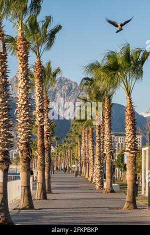 Konyaalti Strandpromenade in Antalya, Türkei Stockfoto