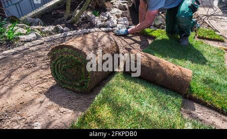 Gärtner legt Rasen in einem Hausgarten auf abschüssigem Gelände Stockfoto