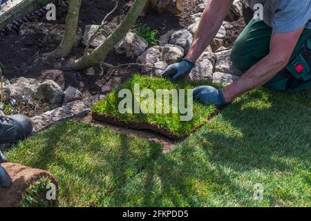 Gärtner legt das letzte fehlende Stück Rasen in einem Hausgarten Stockfoto