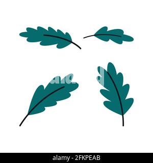 Ein Blatt aus grüner Eiche einbauen. Silhouette auf weißem Hintergrund. Vektorgrafik. Stock Vektor