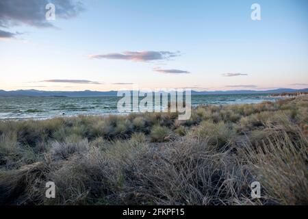 Die Sandtufas am Navy Beach von Mono Lake, Mono County, CA, USA, wurden unter Wasser gebildet und sind zerbrechlich. Stockfoto