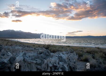 Die Sandtufas am Navy Beach von Mono Lake, Mono County, CA, USA, wurden unter Wasser gebildet und sind zerbrechlich. Stockfoto