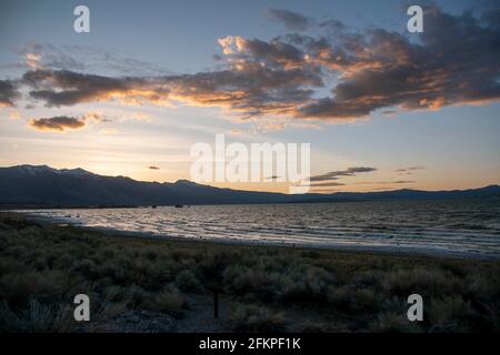 Die Sandtufas am Navy Beach von Mono Lake, Mono County, CA, USA, wurden unter Wasser gebildet und sind zerbrechlich. Stockfoto