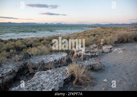 Die Sandtufas am Navy Beach von Mono Lake, Mono County, CA, USA, wurden unter Wasser gebildet und sind zerbrechlich. Stockfoto