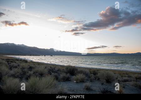 Die Sandtufas am Navy Beach von Mono Lake, Mono County, CA, USA, wurden unter Wasser gebildet und sind zerbrechlich. Stockfoto