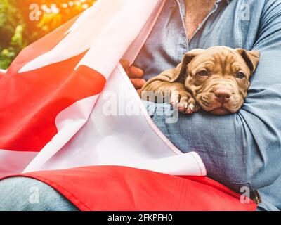 Attraktiver Mann hält einen charmanten Welpen auf einem Hintergrund von blauem Himmel an einem klaren, sonnigen Tag. Im Freien, Nahaufnahme. Nationales Urlaubskonzept Stockfoto