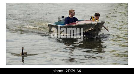 Herrlicher Sommer Henley über Thamespic David Sandison 27/5/2005 Stockfoto