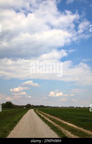 Die Straße wird von einem gepflügten Feld in der italienischen Landschaft begrenzt Stockfoto