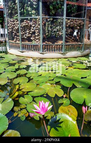 Ein Pavillon gefüllt mit Landminen im Aki Ra Landmine Museum, Siem Reap, Angkor, Kambodscha Stockfoto