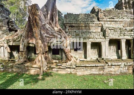 Preah Kahn Tempel. Siem Reap. Kambodscha Stockfoto