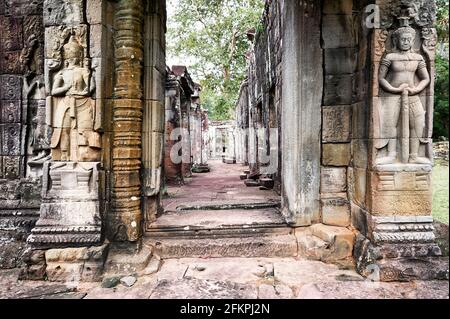 Statuen am Eingang der Dschungeltempel von Ta Prohm. Siem Reap. Kambodscha Stockfoto