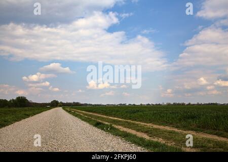 Die Straße wird von einem gepflügten Feld in der italienischen Landschaft begrenzt Stockfoto