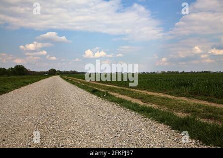 Die Straße wird von einem gepflügten Feld in der italienischen Landschaft begrenzt Stockfoto