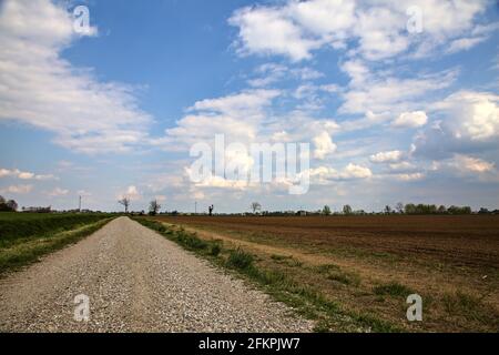 Die Straße wird von einem gepflügten Feld in der italienischen Landschaft begrenzt Stockfoto