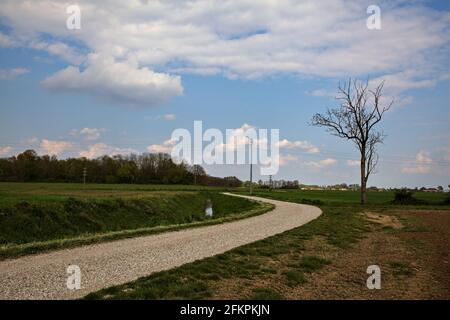 Die Straße wird von einem gepflügten Feld in der italienischen Landschaft begrenzt Stockfoto