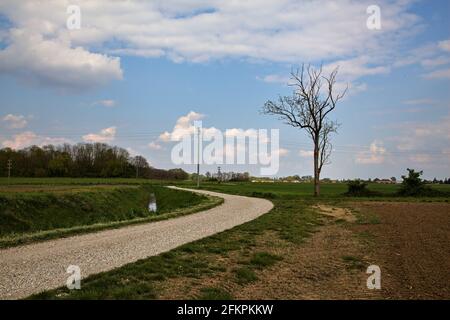 Die Straße wird von einem gepflügten Feld in der italienischen Landschaft begrenzt Stockfoto