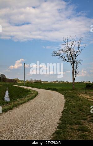 Die Straße wird von einem gepflügten Feld in der italienischen Landschaft begrenzt Stockfoto