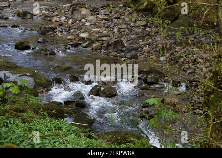 Wasser rauscht über Felsen in einem Bach in Wales Stockfoto