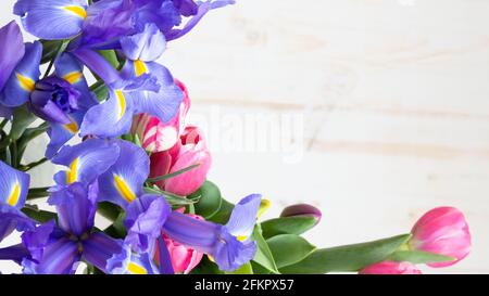 Frische rosa und gelbe Tulpen mit Irisblüten als Rahmen Auf weißem Holzhintergrund mit Kopierfläche Stockfoto