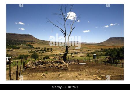 Weihnachten APPEALSenden Sie eine Kuh--- die vernarbte raue Landschaft in Lesotho. Wo niedrige Niederschläge und schwere Erosion macht Anbau von Pflanzen oder Fütterung einer Familie eine kontinuierliche bergauf kämpfen. Foto von David Sandison November 2004 Stockfoto