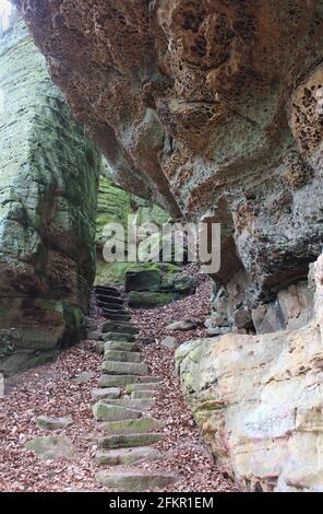 Steintreppe, die durch die Felsklippen auf einem Teil des Mullerthal-Weges bei Beaufort in Luxemburg führt. Stockfoto