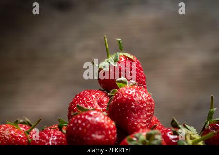 Nahaufnahme von Erdbeeren, selektiver Fokus. Stockfoto