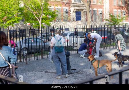 Hunde und ihre Besitzer in einem Hundepark in Brooklyn, NY Stockfoto