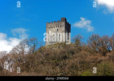 Dolwyddelan Castle Dolwyddelan in Nordwales. Es wurde zum Teil im frühen 13. Jahrhundert von Prinz Llywelyn gebaut, aber später geändert. Stockfoto