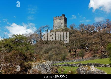 Dolwyddelan Castle Dolwyddelan in Nordwales. Es wurde zum Teil im frühen 13. Jahrhundert von Prinz Llywelyn gebaut, aber später geändert. Stockfoto